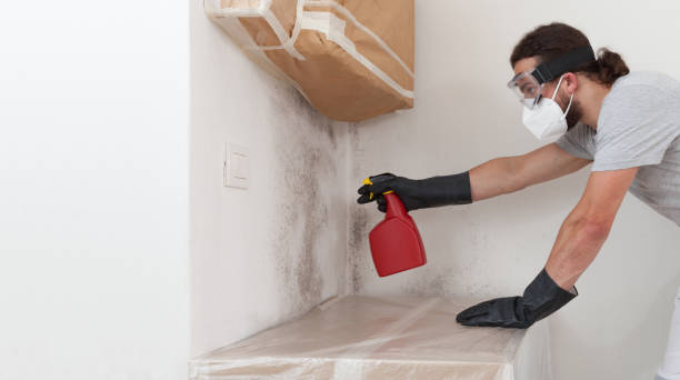 Professional Bathroom Mold Removal technician working in Wayland, MI