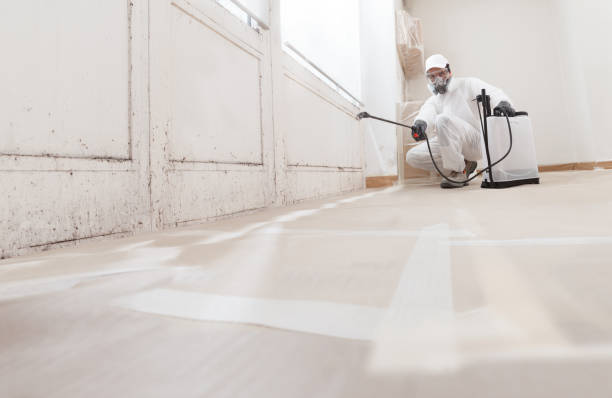 24/7 Emergency Bathroom Mold Removal experts in Wayland, MI